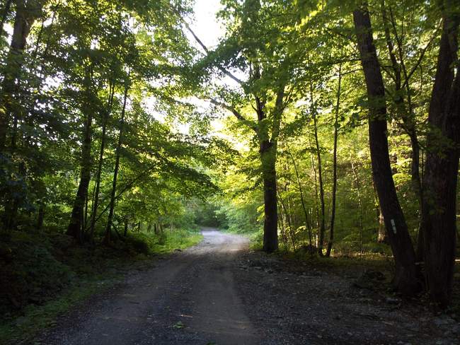 It's turning out to be a beautiful morning